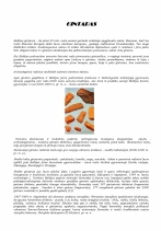 www.speros.lt